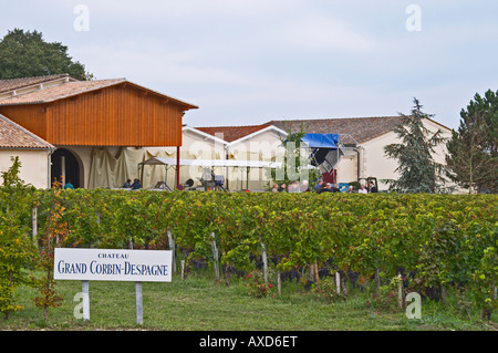 Weingut. Weinkellerei. Château Grand Corbin Despagne, Saint Emilion Bordeaux Frankreich Stockfoto