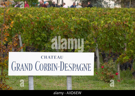 Weingut. Château Grand Corbin Despagne, Saint Emilion Bordeaux Frankreich Stockfoto