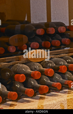 Flaschen im Keller Alterung. 1950. Chateau Grand Corbin Despagne, Saint Emilion Bordeaux Frankreich Stockfoto