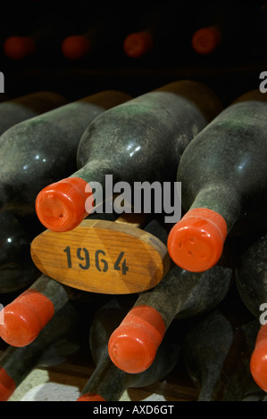 Flaschen im Keller Alterung. 1964. Chateau Grand Corbin Despagne, Saint Emilion Bordeaux Frankreich Stockfoto