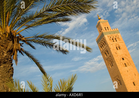 Horizontalen Blick auf die Koutoubia-Moschee und die umgebenden Palmen im Zentrum von Marrakesch an einem sonnigen Tag. Stockfoto