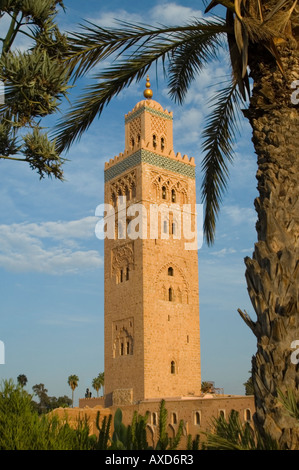 Senkrechten Blick auf die Koutoubia-Moschee und die umgebenden Palmen im Zentrum von Marrakesch an einem sonnigen Tag. Stockfoto