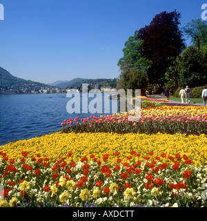 Luganer See - Promenade Gärten in den See von Lugano Stockfoto