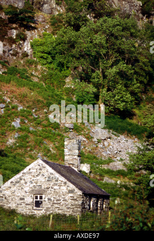 Verlassener Bauernhof im Dysinni-Tal in der Nähe von Twywn Gwynedd Stockfoto