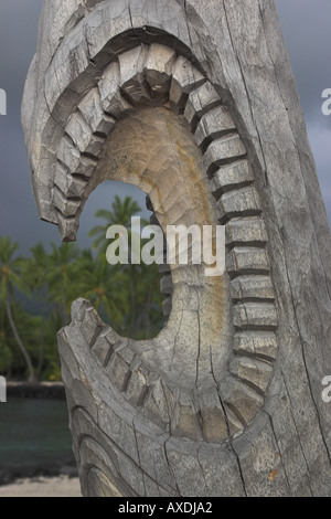 Beißende Palmen Stockfoto