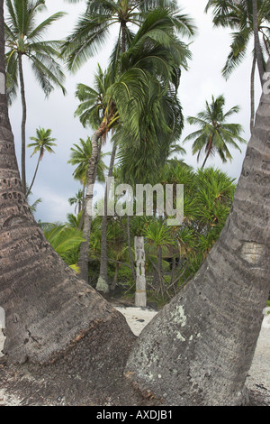 Eine hölzerne Tiki Statue eingerahmt von ein paar Palmen Bäume Ort der Zuflucht Pu Uhonua O Honaunau Big Island Hawaii USA Stockfoto