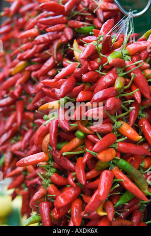 Tief rot, orange und grün gebunden Stränge der Chilis nach unten hängen auf der Außenwand eines Shop in der Stadt Amalfi, Kampanien, Italien Stockfoto