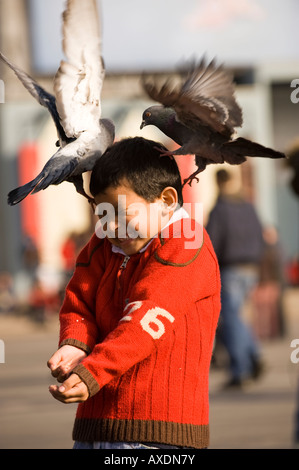 EIN KLEINER JUNGE HAT SPAß MIT DEN TAUBEN PIAZZA DEL DUOMO MAILAND ITALIEN Stockfoto