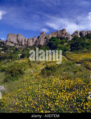 Das 13. Jahrhundert Katharer Chateau de Peyrepertuse Aude-Frankreich Stockfoto
