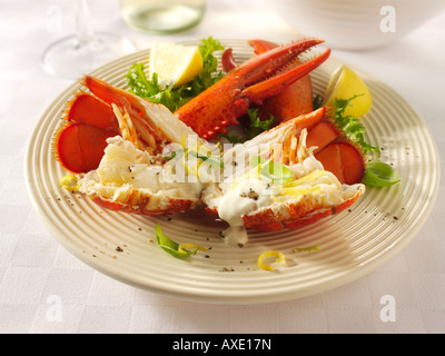 Halbierte frisch gekochten Hummer mit einer Zitronen-Mayonnaise-sauce Stockfoto