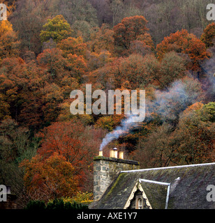 DER LETZTE DER DIE HERBSTFARBEN IN DEN WÄLDERN ÜBER DUNKELD BIRNAM PERTHSHIRE SCHOTTLAND, VEREINIGTES KÖNIGREICH Stockfoto