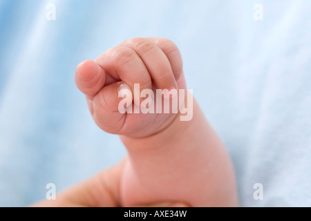 Nahaufnahme des Babys Hand (3-6 Monate) Stockfoto