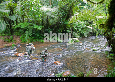 Africa Uganda Bwindi undurchdringlichen Nationalpark Guard mit AK-47 Gewehr Kreuzung Stream auf Wanderung durch den tropischen Regenwald Stockfoto