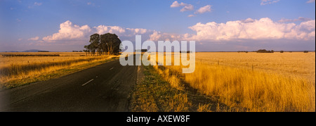 Landstraße in der Nähe von Clunes, Panorama, Central Goldfields, Victoria, Australien, Horizontal Stockfoto