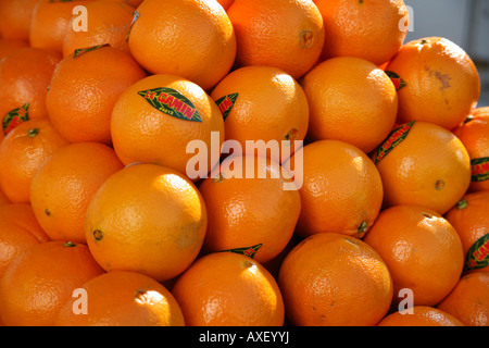 Obst Stockfoto