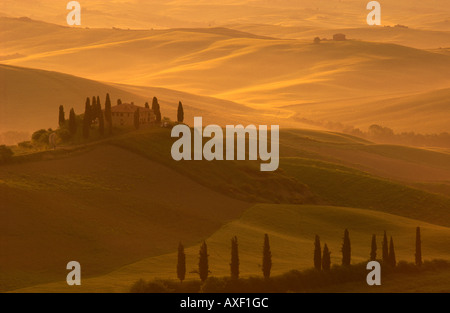 Belvedere-Dämmerung, in der Nähe von San Quirico D'Orcia, Val D'Orcia, südlich von Siena, Toskana, Italien Stockfoto