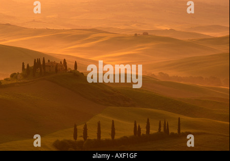 Belvedere-Dämmerung, in der Nähe von San Quirico D'Orcia, Val D'Orcia, südlich von Siena, Toskana, Italien Stockfoto