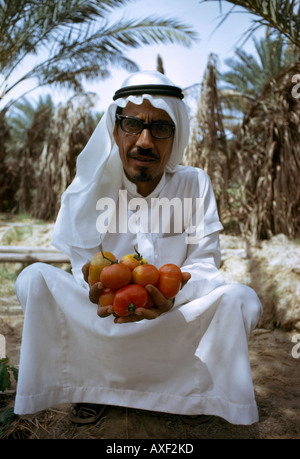 Gassim Saudi Arabien Mann mit Tomaten Stockfoto