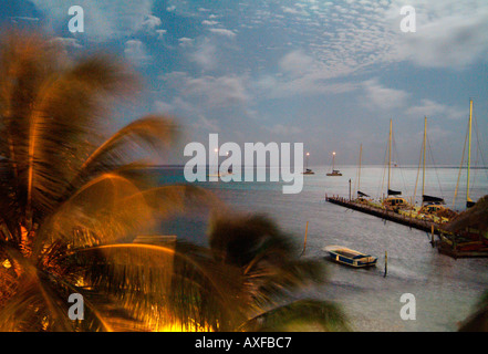 Mondlicht auf einem karibischen Strand beleuchtet Palmen und Segelboote Stockfoto