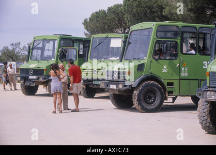 Fahrzeug-Touren El Acebuche Nationalpark von Doñana Costa De La Luz Spain Stockfoto