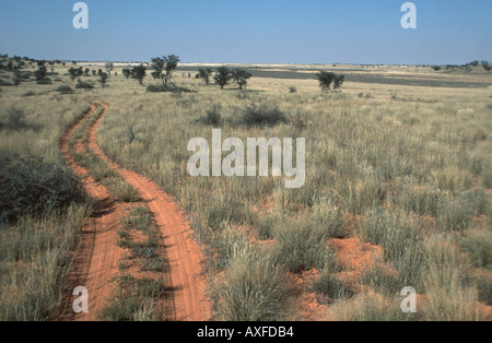 Roter Sand Schmalspur durch Trockenrasen Magadikadi Panns Kalahari-Wüste Botswana Afrika Stockfoto