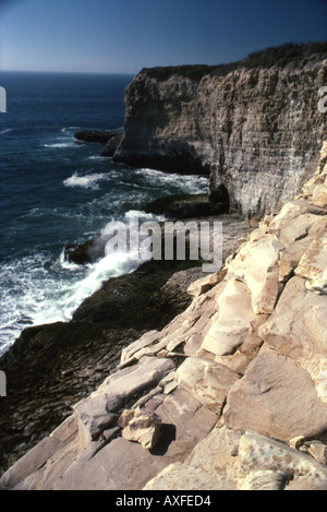 Robuste kalifornische Küste Stockfoto