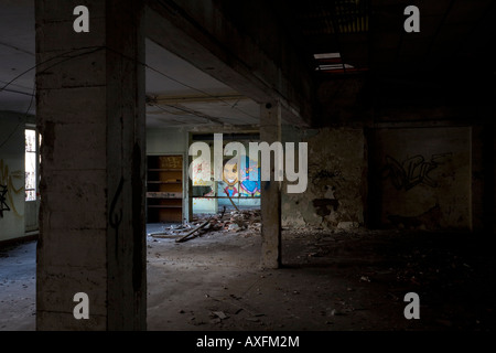 Graffiti in einer Brownfield-Website-Fabrik in Vichy (Frankreich). Graffiti Dans Une Usine Désaffectée de Vichy (Allier - Frankreich). Stockfoto