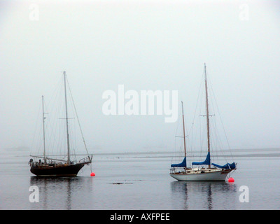 Segelboote im Hafen, Morro Bay CA Stockfoto