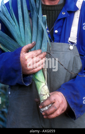 Mann mit großen Lauch in der Nähe seiner Brust Gärtner Lincolnshire UK Stockfoto