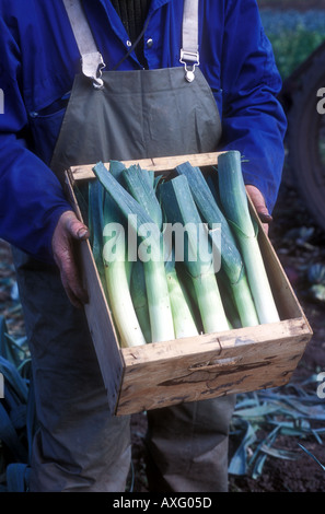 Mann mit großen Lauch in der Nähe seiner Brust Gärtner Lincolnshire UK Stockfoto