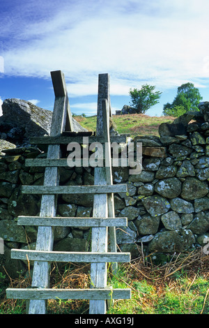 Wanderer-Leiter über Stein Trockenbau Stockfoto