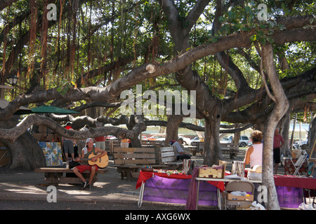 LOKALEN KUNSTMARKT UNTER DER GRÖßTEN BANYAN-BÄUME IN DER WELT, DIE IN MAUI, HAWAII. ES IST DIE GRÖßE EINES HÄUSERBLOCKS Stockfoto