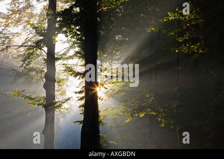Nationalpark Plitvicer Seen, Kroatien Stockfoto