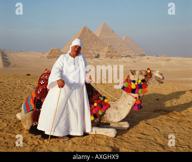 Pyramiden Kamel und Fahrer, Gizeh, Kairo, Ägypten, Nordafrika Stockfoto