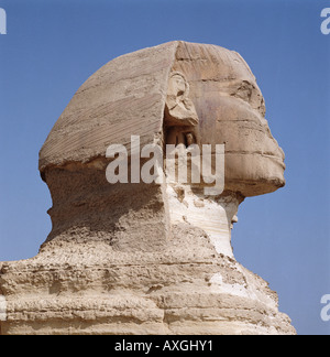 Der Kopf der großen Sphinx Gizeh Kairo Ägypten Nordafrikas Stockfoto