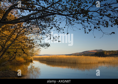 Akansee, Akan-Nationalpark, Hokkaido, Japan Stockfoto