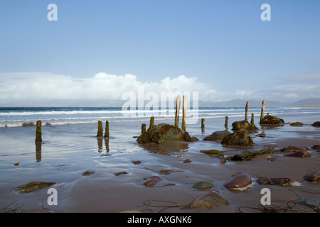 Holzpfosten und Felsen auf nassem Sand auf leeren Strand von Ross Strand Rossbeigh Co Kerry Irland Europe Stockfoto