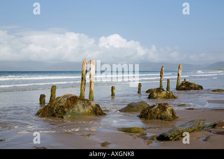 Hölzernen Pfosten und Steinen auf nassen Sand am leeren Strand von Ross Strand auf dem Ring of Kerry. Rossbeigh County Kerry Eire-Irland Stockfoto