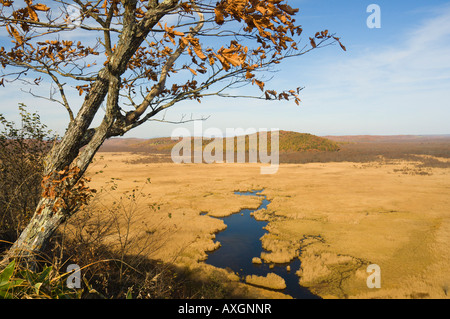 Überblick über Feuchtgebiete, Kushiro Shitsugen Nationalpark, Hokkaido, Japan Stockfoto