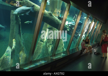 Menschen Sie stehen vor einem großen aquarium Stockfoto