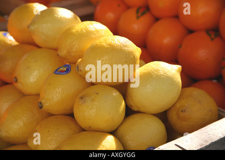 Obst Stockfoto