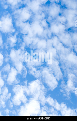 weiße kleine flauschige Makrele Wolken am blauen Himmel Stockfoto