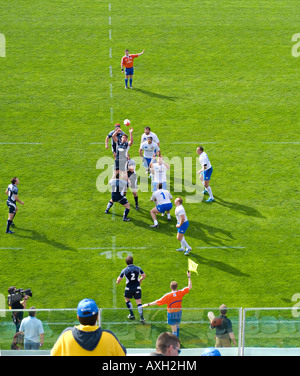 Eine italienische Fan Uhren einen Wurf in 2008 Six Nations Rugby clash zwischen Schottland und Italien im Stadio Flaminio in Rom. Stockfoto