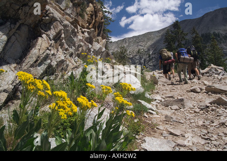 Wanderer in der Sangre de Cristo Mountains, Colorado Stockfoto