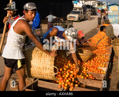 Stock Foto von Männern Verpackungskästen Tomaten für den Transport in Nyaungshwe am Inle-See in Myanmar 2006 auf den Markt Stockfoto