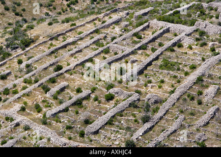 Stein markierte Felder auf Insel Hvar Kroatien Stockfoto