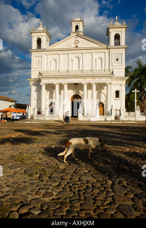 Katholische Kirche und Hund auf Town square Parque Centenario Suchitoto El Salvador Stockfoto