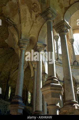 Heisterbach Im Siebengebirge, Chorruine der Zisterzienserkirche, Blick in Die Doppelsäulen des Chorumgangs Stockfoto