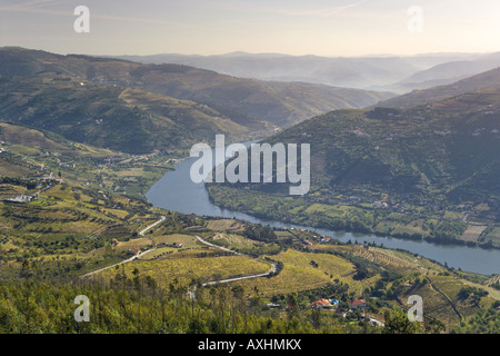 Portugal, die Region Alto Douro, Douro-Fluss und Weinberge in Mesao Frio Stockfoto