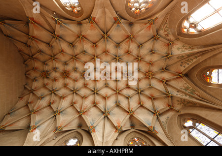 Tübingen, Jakobuskirche, Gewölbe Im Chor Stockfoto